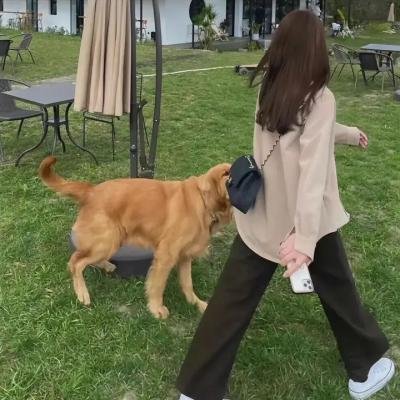 牧童与贵妇